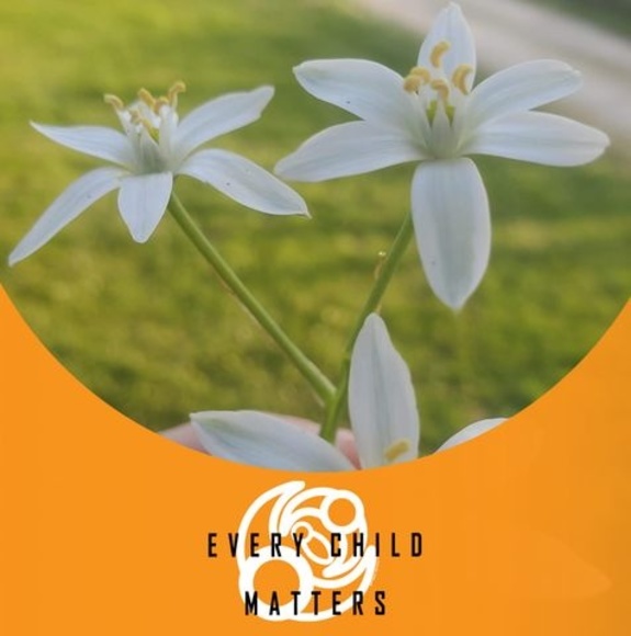 Meet your Posher, Annie - Picture 1 of 1